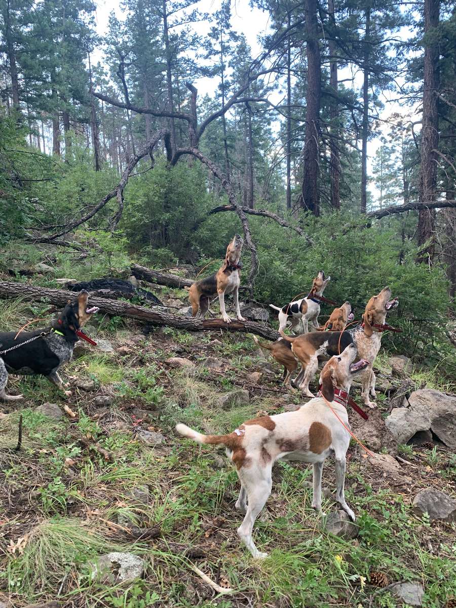 Additional Information